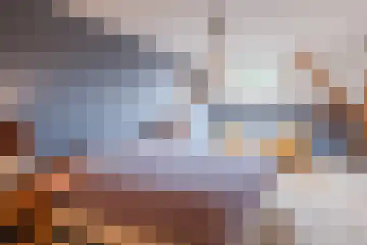 Groothees 18 Erp thumbnail 28