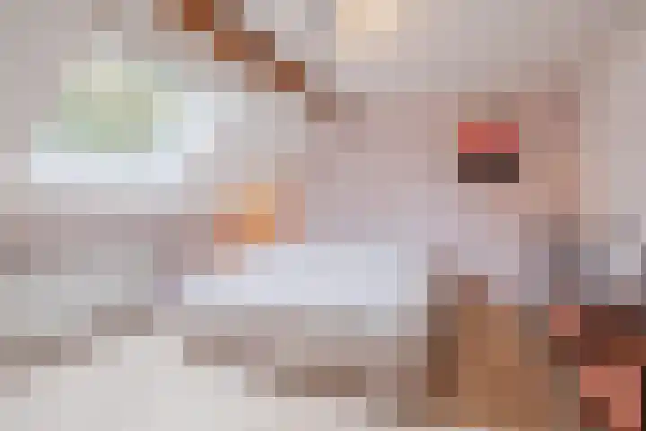 Groothees 18 Erp thumbnail 31