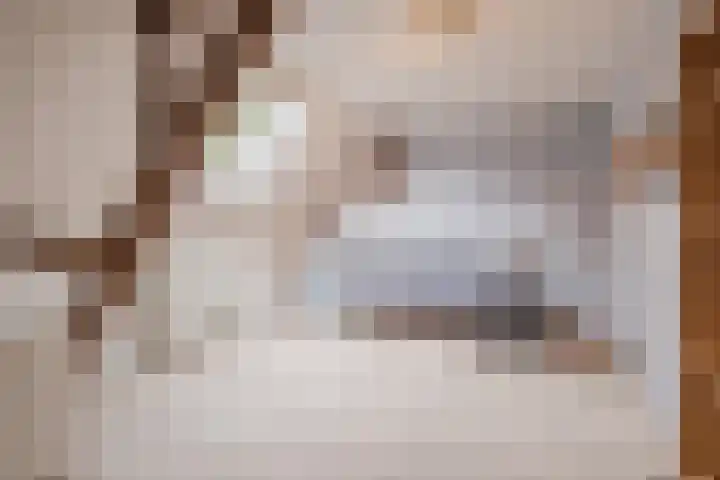 Groothees 18 Erp thumbnail 35