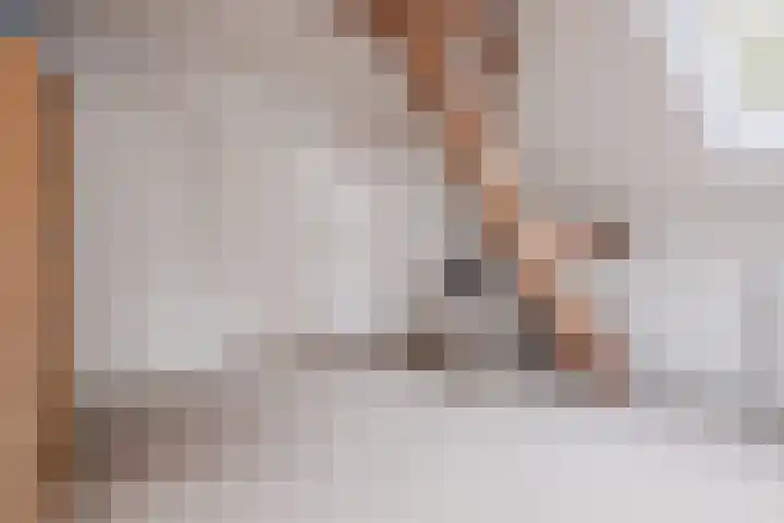 Groothees 18 Erp thumbnail 36