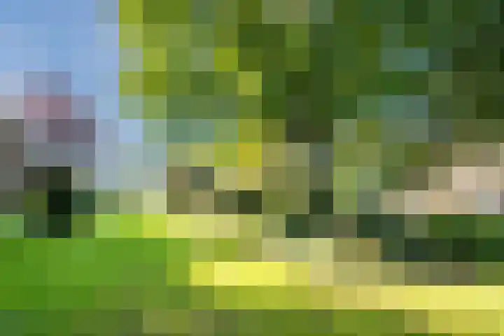 Groothees 18 Erp thumbnail 4