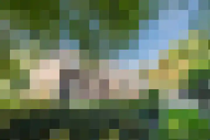 Groothees 18 Erp thumbnail 41