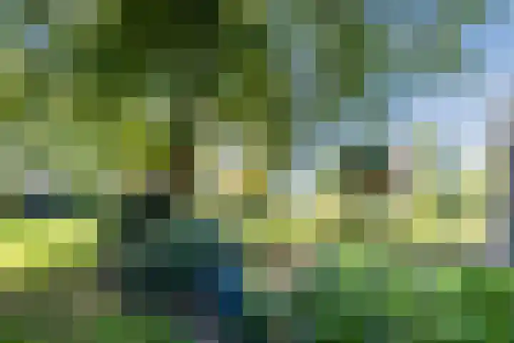 Groothees 18 Erp thumbnail 42