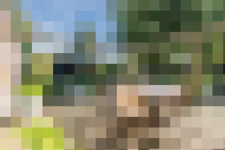 Groothees 18 Erp thumbnail 43