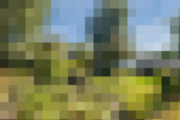 Groothees 18 Erp thumbnail 44