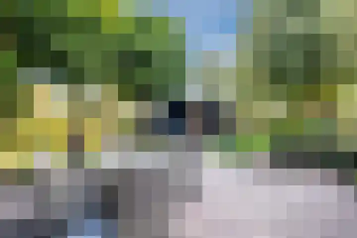 Groothees 18 Erp thumbnail 45