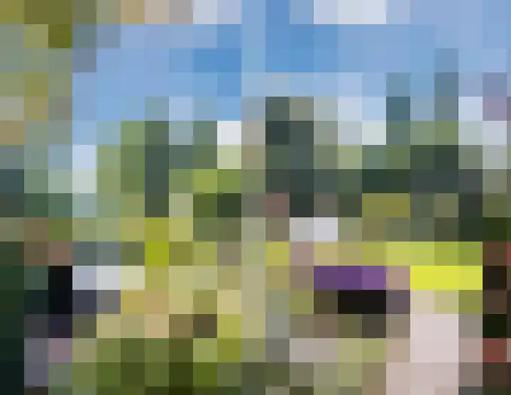 Groothees 18 Erp thumbnail 49