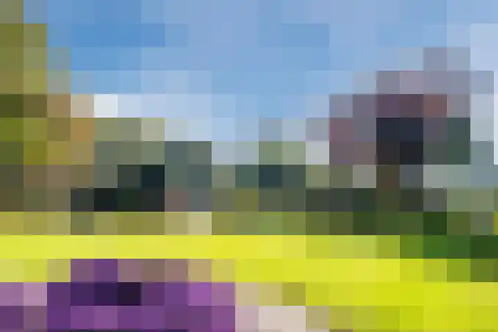 Groothees 18 Erp thumbnail 50