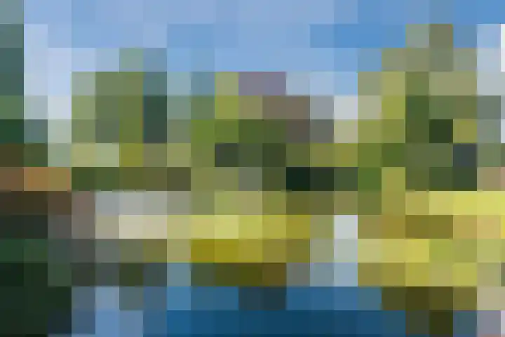 Groothees 18 Erp thumbnail 51