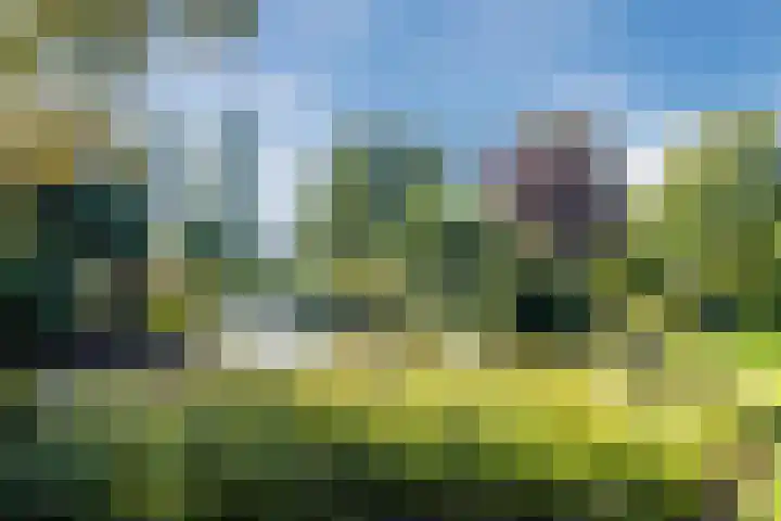 Groothees 18 Erp thumbnail 52
