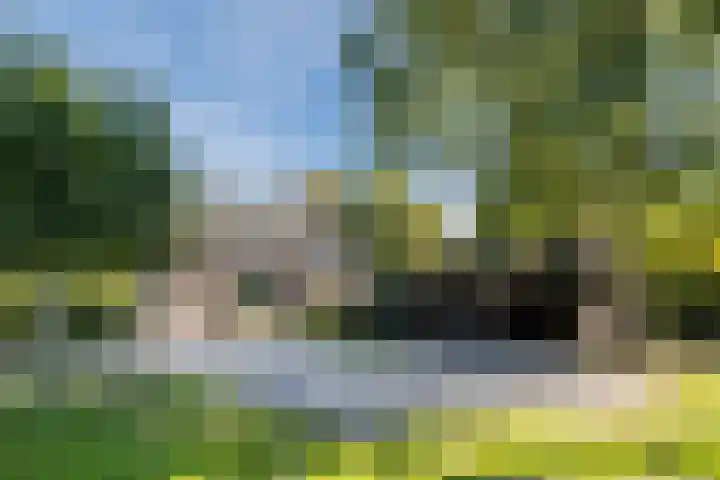 Groothees 18 Erp thumbnail 53