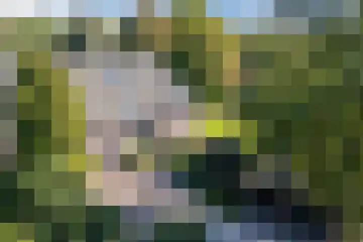 Groothees 18 Erp thumbnail 54