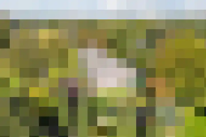 Groothees 18 Erp thumbnail 55