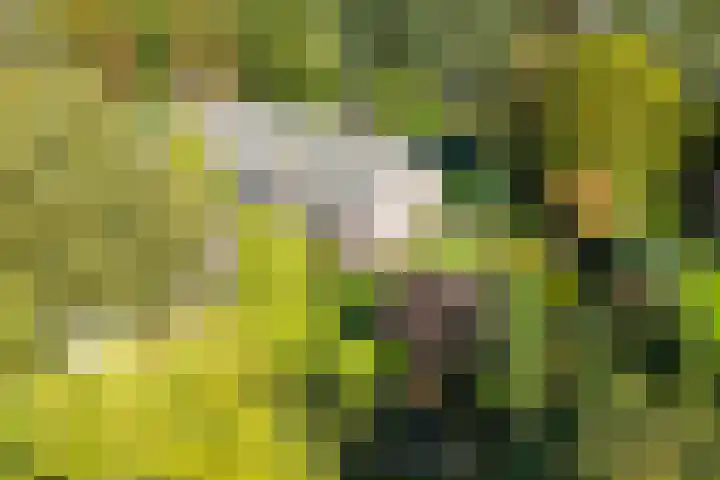 Groothees 18 Erp thumbnail 56