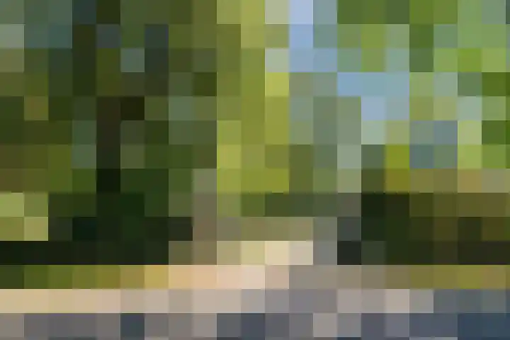 Groothees 18 Erp thumbnail 57