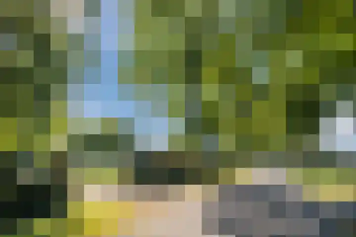 Groothees 18 Erp thumbnail 58