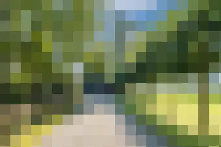 Groothees 18 Erp thumbnail 6