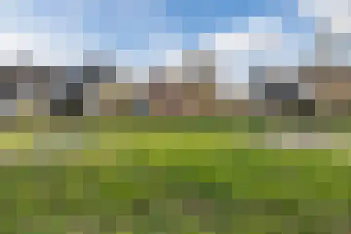 Groothees 18 Erp thumbnail 60