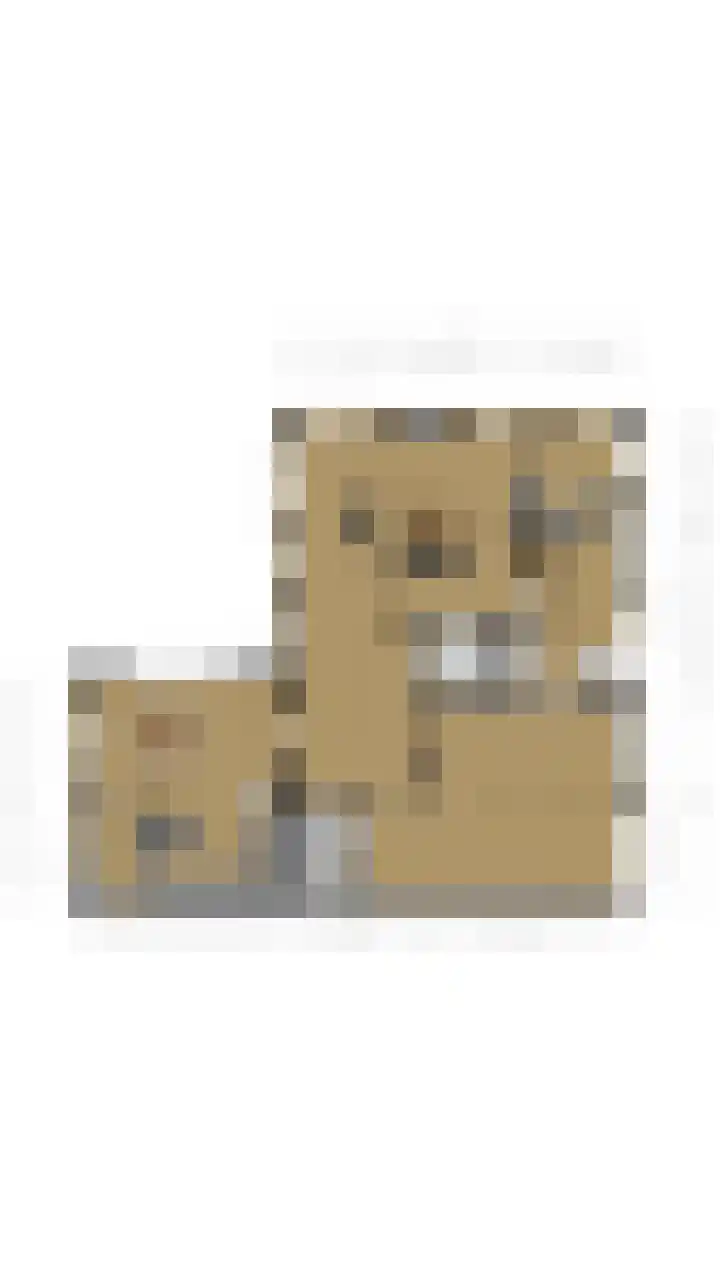 Groothees 18 Erp thumbnail 63