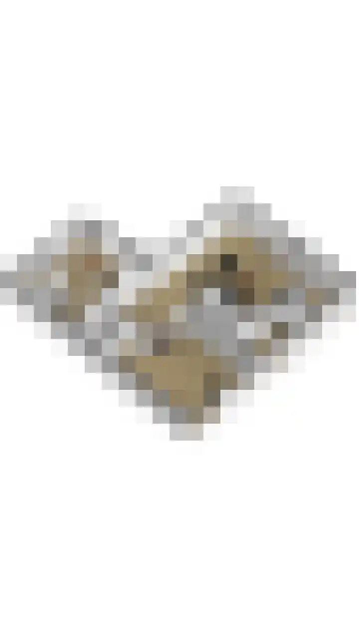 Groothees 18 Erp thumbnail 64