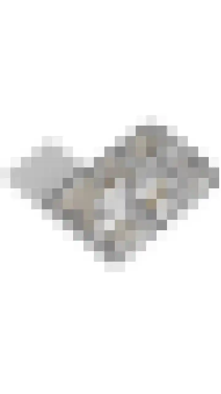 Groothees 18 Erp thumbnail 66