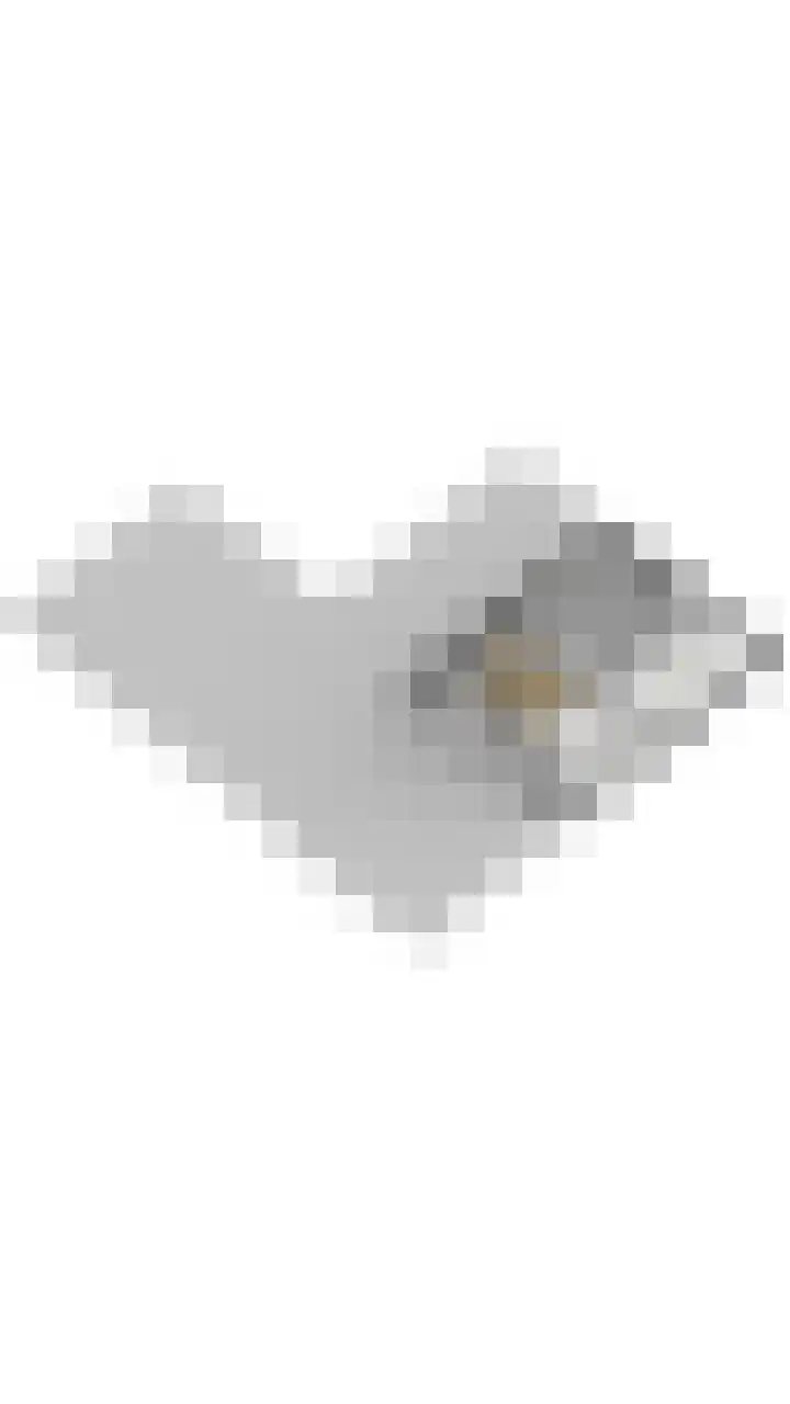 Groothees 18 Erp thumbnail 68