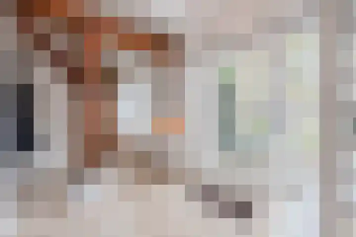 Groothees 18 Erp thumbnail 7