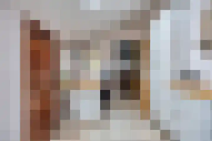 Grootmajoorstraat 4 Sas van Gent thumbnail 10