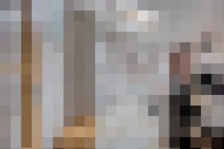 Grootmajoorstraat 4 Sas van Gent thumbnail 11