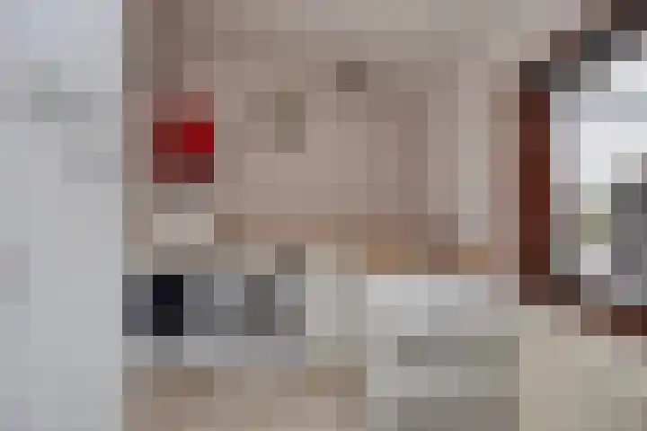 Grootmajoorstraat 4 Sas van Gent thumbnail 13