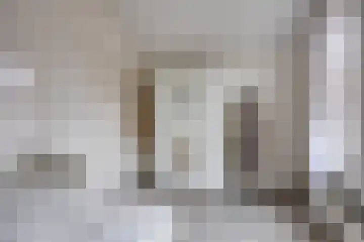 Grootmajoorstraat 4 Sas van Gent thumbnail 20