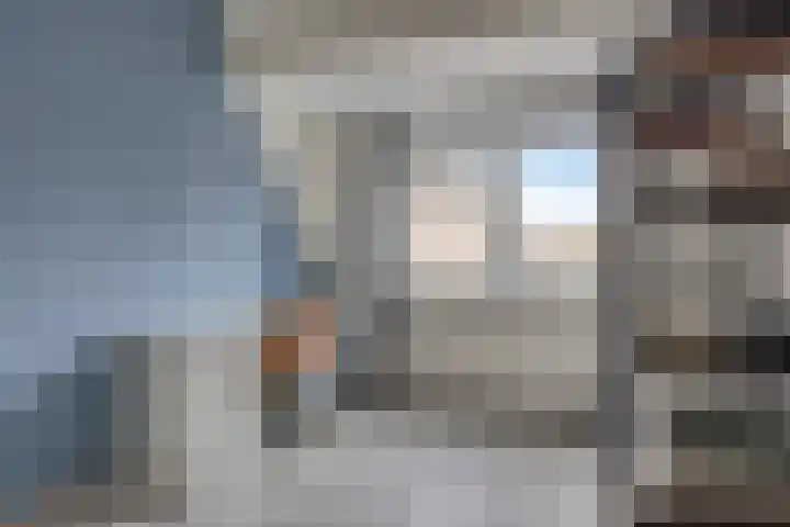 Grootmajoorstraat 4 Sas van Gent thumbnail 21
