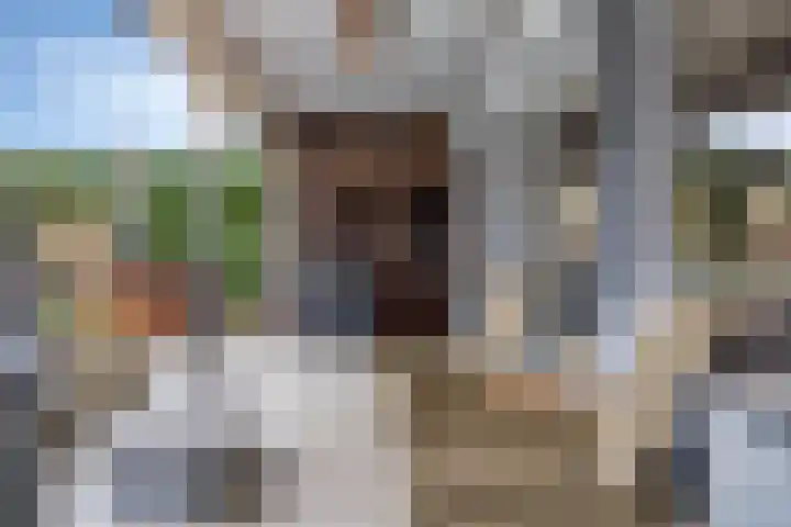 Grootmajoorstraat 4 Sas van Gent thumbnail 24