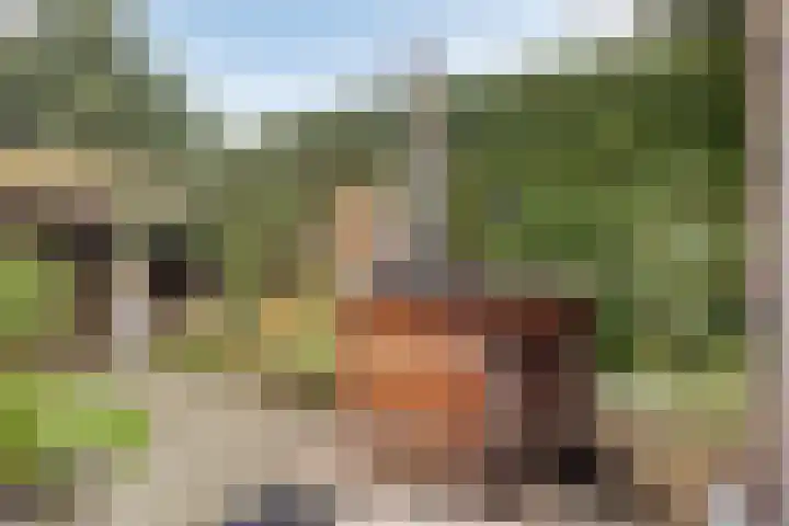 Grootmajoorstraat 4 Sas van Gent thumbnail 25