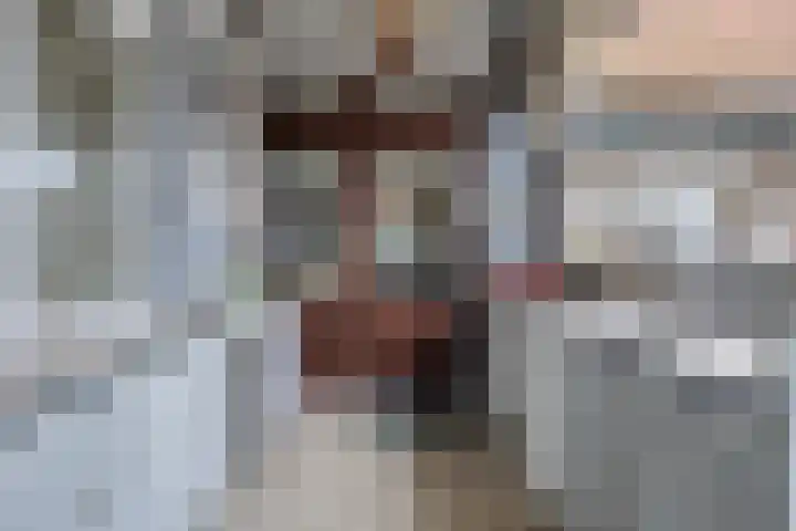 Grootmajoorstraat 4 Sas van Gent thumbnail 27