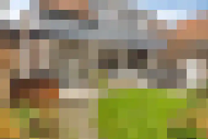 Grootmajoorstraat 4 Sas van Gent thumbnail 29