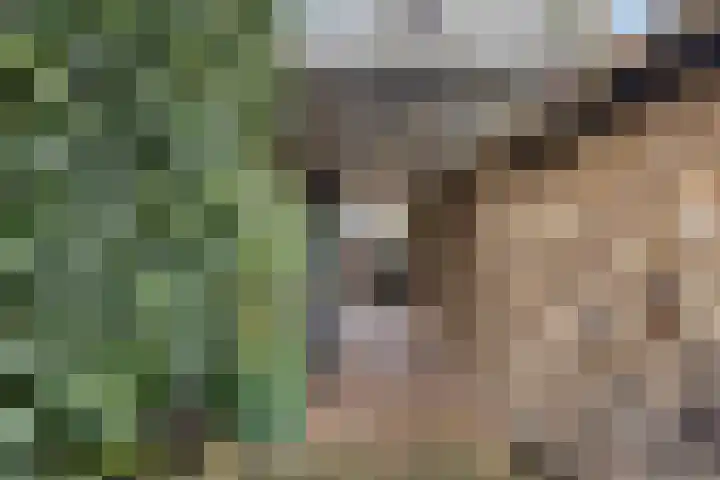 Grootmajoorstraat 4 Sas van Gent thumbnail 35