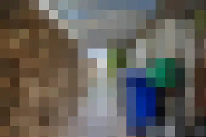 Grootmajoorstraat 4 Sas van Gent thumbnail 36