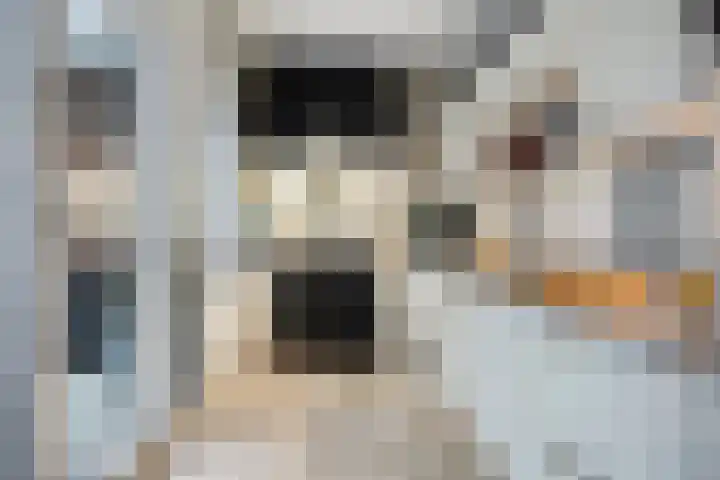 Grootmajoorstraat 4 Sas van Gent thumbnail 8