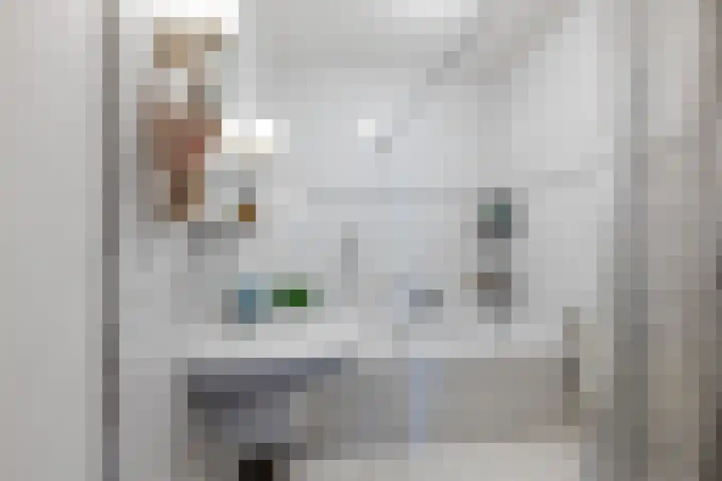 Grootslag 15 Pesse thumbnail 19