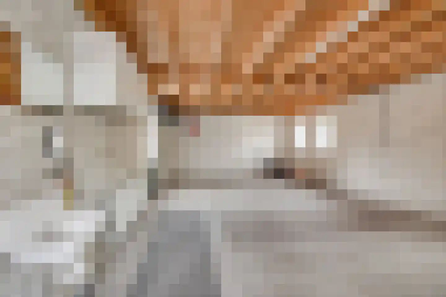 Grootslag 15 Pesse thumbnail 33