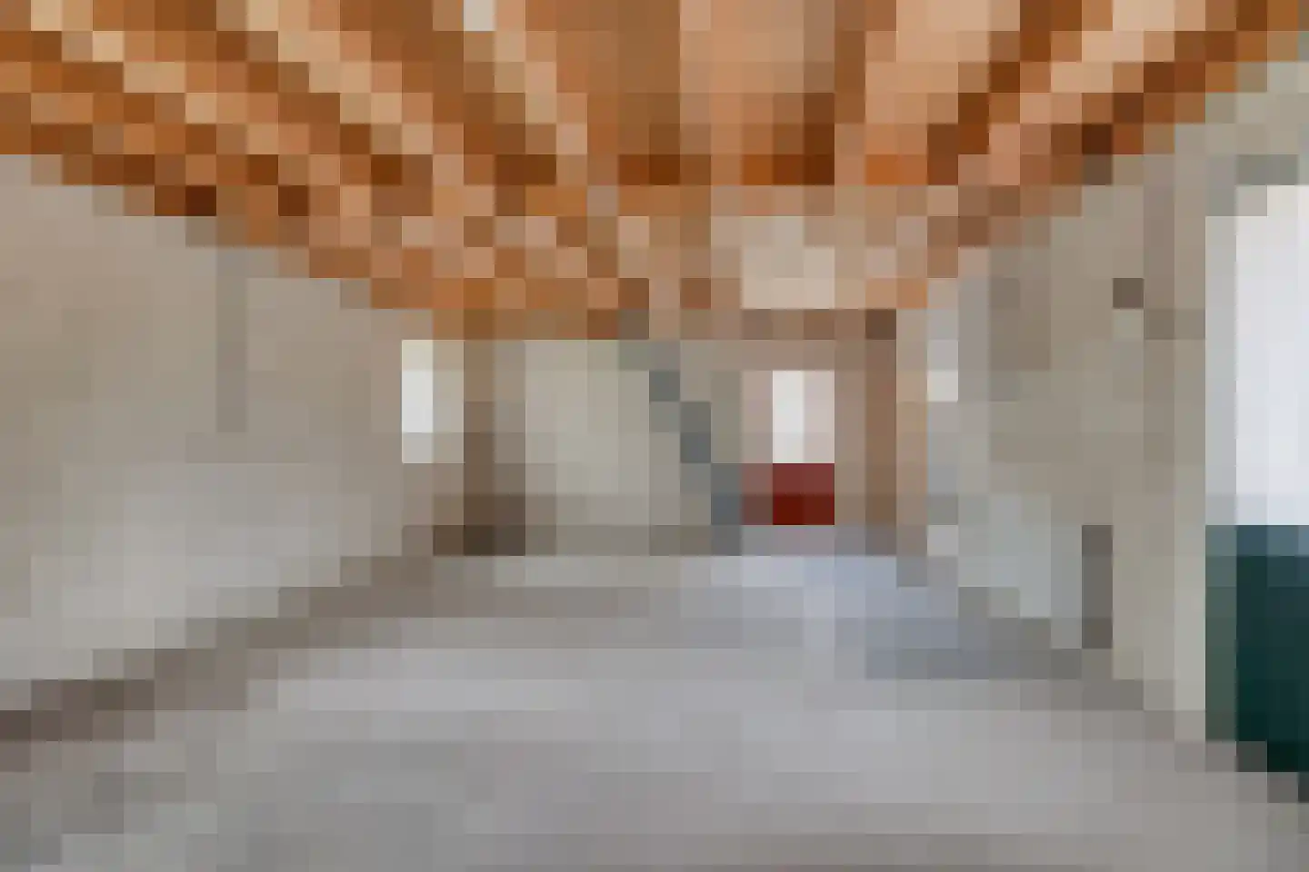 Grootslag 15 Pesse thumbnail 34