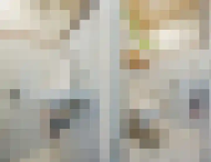 Grootveld 65 Boekel thumbnail 22