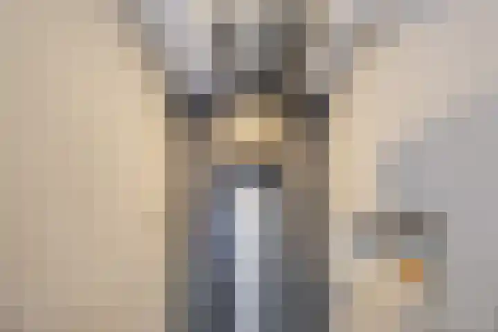 Grootveld 65 Boekel thumbnail 31