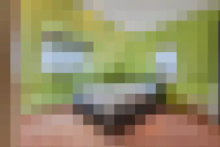 Grootveld 65 Boekel thumbnail 37