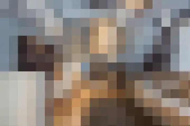 Grootveld 65 Boekel thumbnail 4