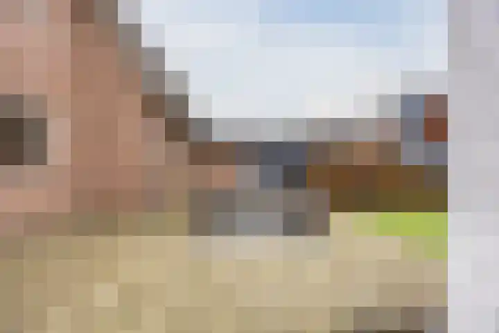 Grootveld 65 Boekel thumbnail 41