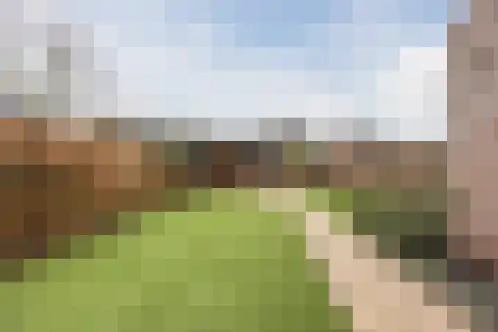Grootveld 65 Boekel thumbnail 45