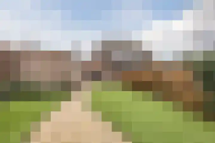 Grootveld 65 Boekel thumbnail 48
