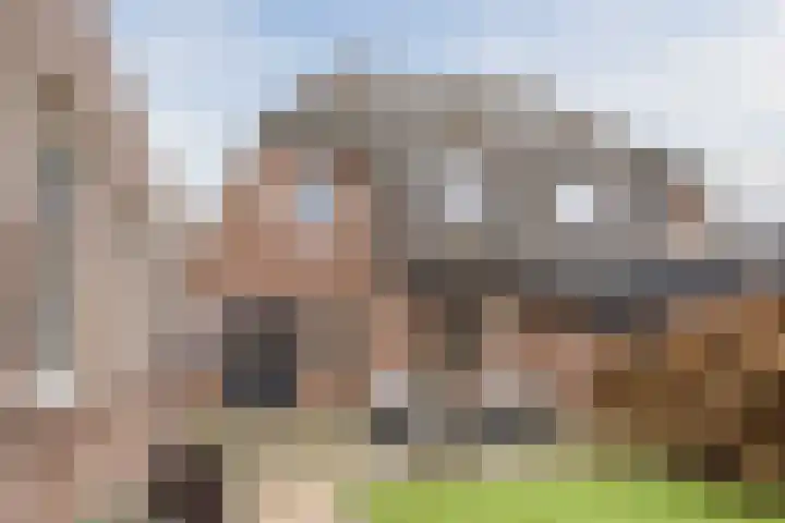 Grootveld 65 Boekel thumbnail 49